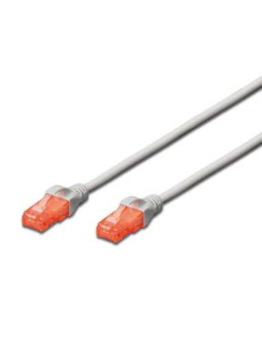 Ewent IM1004 cable de red Blanco 0,5 m Cat6 U UTP (UTP)