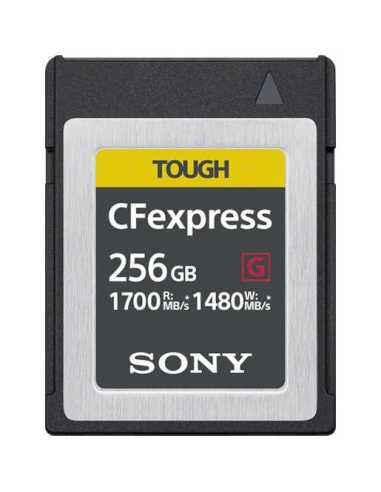 Sony CEB-G256 Speicherkarte 256 GB PC-Karte