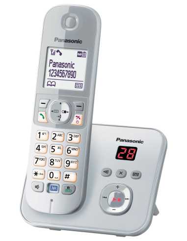 Panasonic KX-TG6821GS Telefon DECT-Telefon Anrufer-Identifikation Silber