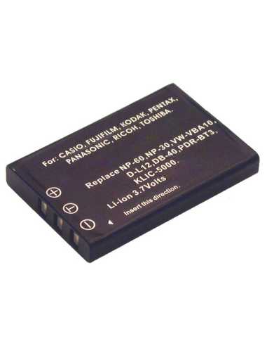 2-Power DBI9583A Kamera- Camcorder-Akku Lithium-Ion (Li-Ion) 1000 mAh